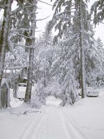 driveway-in-snow.jpg
