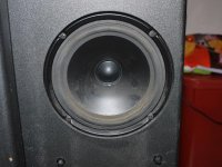 woofer.jpg