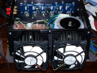 tmp_7567-Fan Shot475665435.JPG