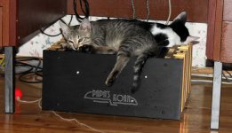 IMG_1697.jpg