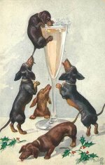 Dachshunds - Celebrating New Years.jpg