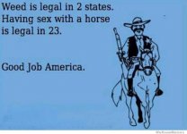 Sex with a horse is legal.jpg
