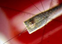 stylus-needle-dirty-20141014_120433-crop.jpg