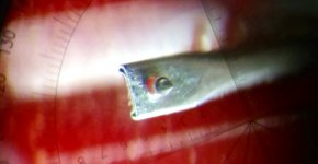 cleaned-stylus-needle-20141014_121849-crop2.jpg
