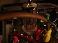 DSC08350.JPG