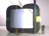 833 OPT coil and core.jpg
