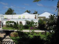 image001a.jpg