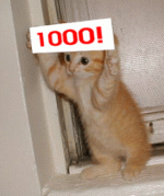 post-447111-0-07469100-1352049402.gif
