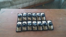 Prepared-Horn-Bodies.jpg