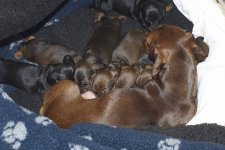 Milk Bar Kids.jpg