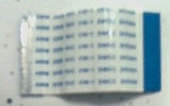 ribbon1.jpg