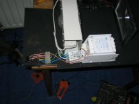 img_1706s.jpg