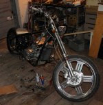 IMG_2339.jpg