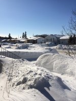 IMG_0185.jpg