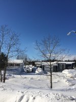 IMG_0186.jpg