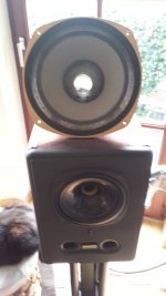 CameraZOOM-20150314100948966.jpg