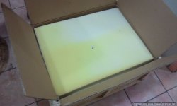Photo0928-Optimized.jpg