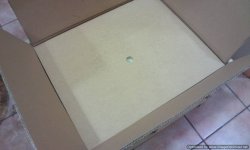 Photo0929-Optimized.jpg