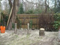 Tree 004.jpg
