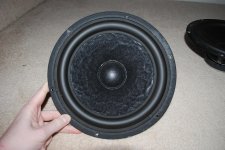 DSC_0001.jpg