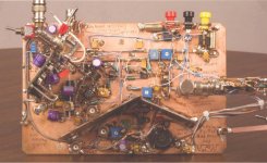 Dead Bug (LT AN120-28).JPG