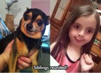 Funniest_Memes_siblings-reunited_12709.jpeg