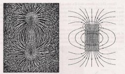 magnet_1-600x357.jpg