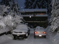 IMG_0010.jpg
