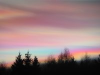 IMG_1763.JPG