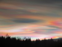 IMG_1772.JPG
