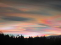 IMG_1774.JPG