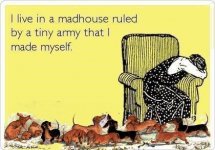 Mad House.jpg