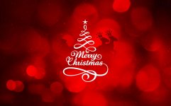 merry christmas.jpg