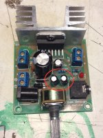 2 dollar amp.JPG