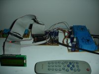 DSC08486.JPG
