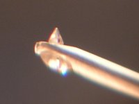 DL-103.jpg