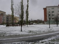 img_0414.jpg