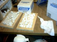 styrofoam inside speaker.jpg