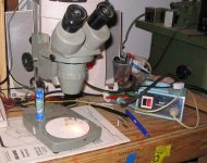 microscope 001.jpg
