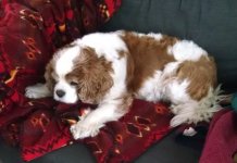 otis.jpg