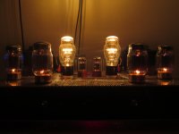 IMG_5515.jpg