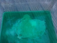 IMG_2148.JPG