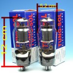 6L6G size.jpg