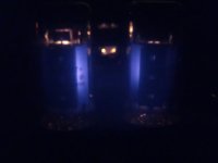 IMAG2268s.jpg