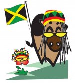 Jamaican bull.jpg
