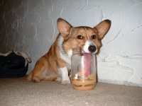 jar.jpg