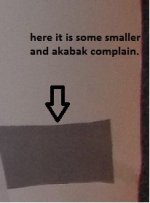 smaller throat part.jpg