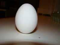 DSC02518.JPG