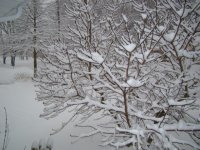 DSC02509.JPG