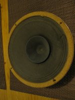 IMG_5479.jpg
